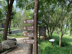 -阳台山自然风景区