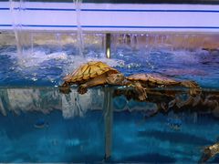 -沃尔玛超市(人民广场店)