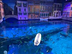 -华夏文旅海洋公园