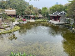 -顺峰山公园