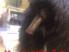 -仁华宠物医院(青羊店)