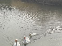 -鹦鹉寺公园