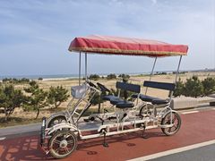 -日照海滨国家森林公园