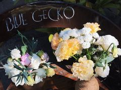 -蓝壁虎咖啡酒馆