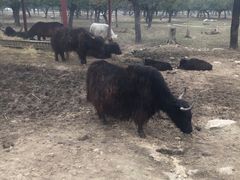 -西安秦岭野生动物园