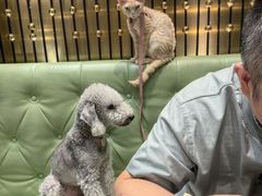 -正斗·港式粤菜(SKLP店)