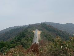 -树山生态村