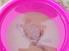 -惠州金海湾嘉华度假酒店