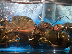 -盒马鲜生(领丰汇店)