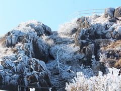 -金子山原生态旅游风景区