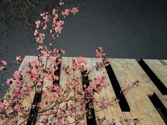 -江苏省美术馆(长江路新馆)