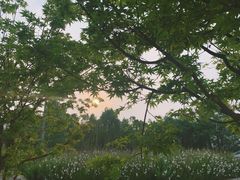 -仙海旅游度假区