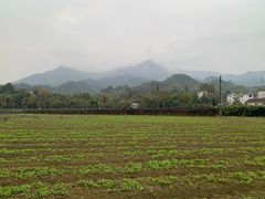 -绩溪龙川景区