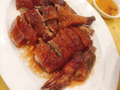 烧鹅-姚林轩
