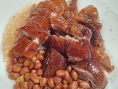-石岐乳鸽村(南海第三分店)