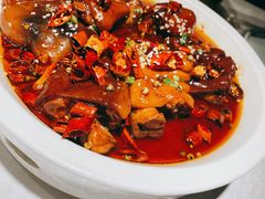 香辣美容蹄-雲蜀龙阁·金牌水煮鱼(方庄店)