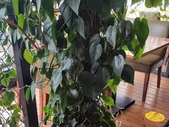 -盐帮食坊•小河帮川菜(四川师大店)