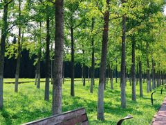 -汉长安城未央宫国家考古遗址公园