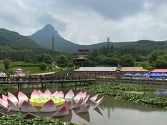 -帽儿山风景区