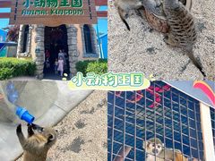 -海合安武汉极地海洋公园