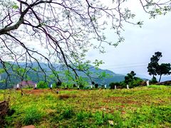 -舒家湾天主教堂