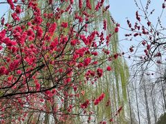 -星巴克(成都天府水街店)