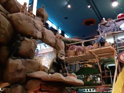 -卡通尼·Safari非洲探索乐园·生日会(金桥国际商业广场店)