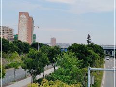 -宝安西湾红树林湿地公园