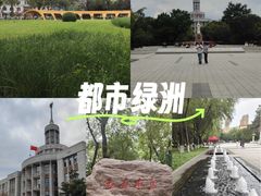 -黑龙江中医药大学