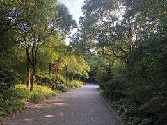 -吴淞炮台湾湿地森林公园烧烤区