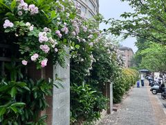 -江苏第二师范学院(草场门校区)