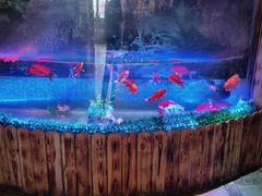 -人和居(丰葆路店)