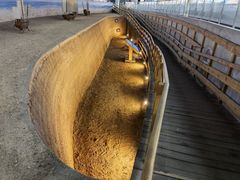 -天津古林古海岸遗迹博物馆