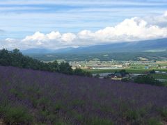 -富田农场