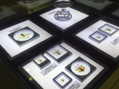 -上海昆虫博物馆