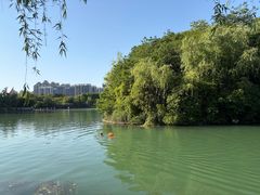 -天鹅湖体育公园
