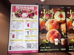 -马伍旺饮料厂(将军大道店)