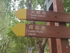 -毛遂公园