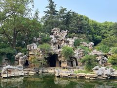 -红梅公园
