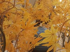 -汤里来温泉