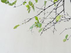 -颐和路民国时期公馆风貌区