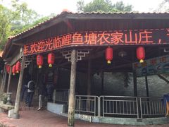 -鲤鱼塘农家山庄