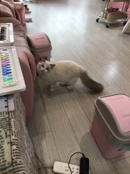 -Beauty Nails 美甲美睫皮肤管理