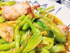 -张氏鱼庄