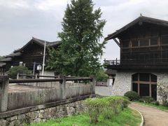 -大唐贡茶院