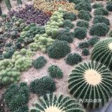 很多人集中在一個打卡位，需要p圖才可以跟網紅拍的差不多