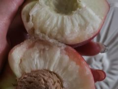 -果多美(三里河店)