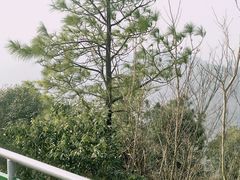 -缥缈峰景区