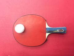 -大凤凰乒乓球馆