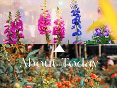 -人民公园(罗湖区)